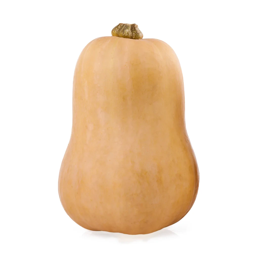 Pumpkin Butternut Whole