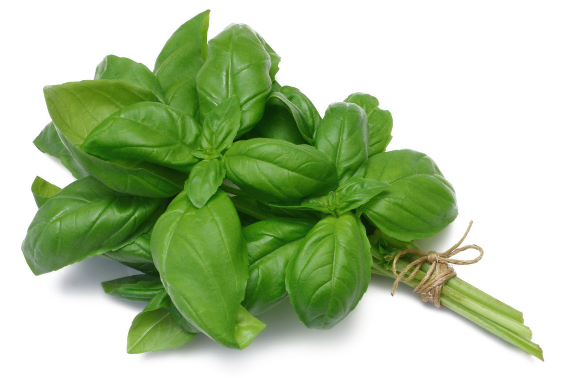 Basil Bunch