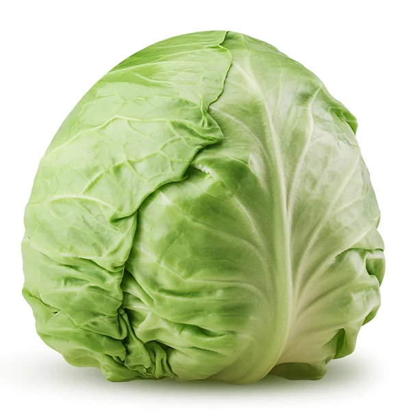 Cabbage Green Whole