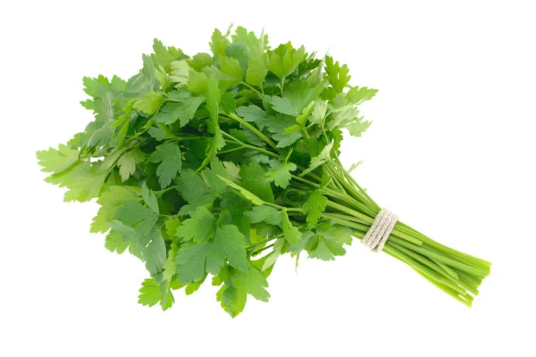 Parsley Bunch