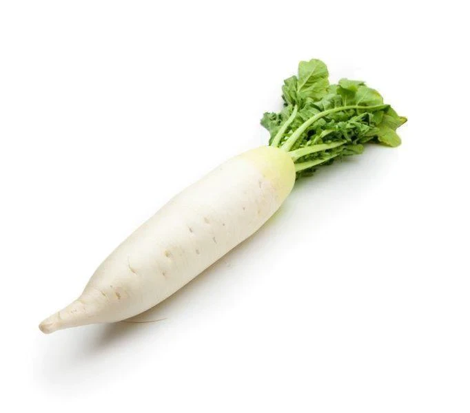 White Radish Daikon