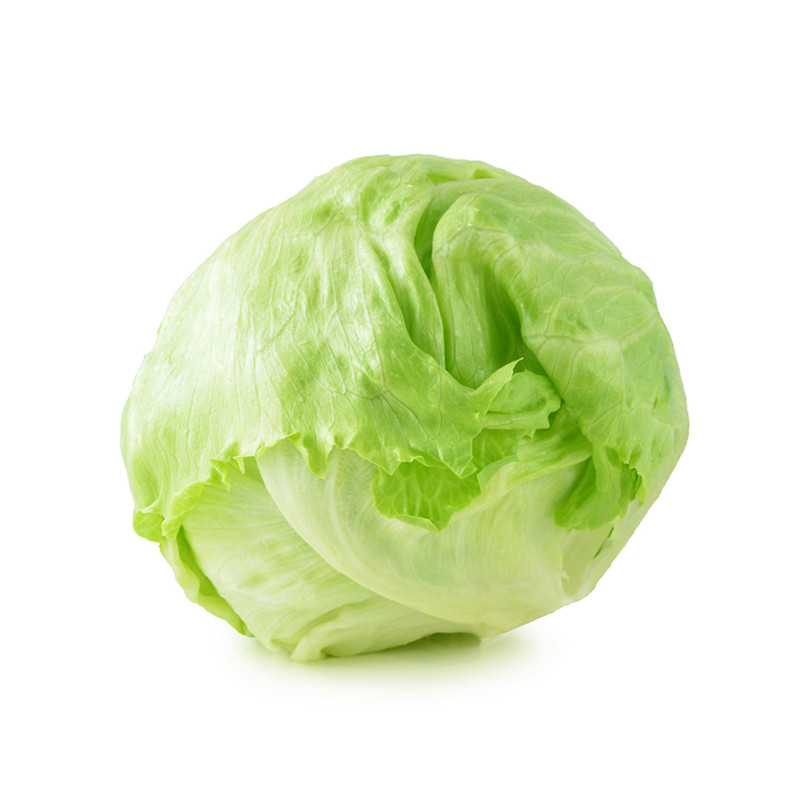 Iceberg Lettuce