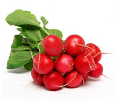 Red Radish Bunch