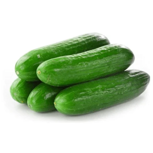 Cucumber Lebanese