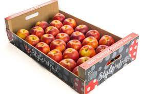 Nectarine Yellow large 10kg