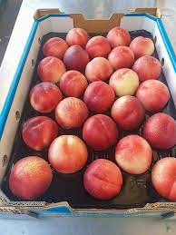 Nectarine White large Box 10 kg