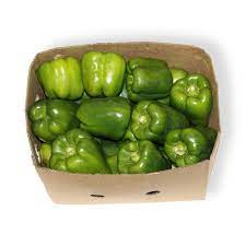 Capsicum Green 7kg Box