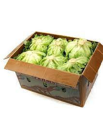 Iceberg Lettuce Box 12pcs