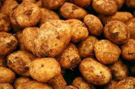 Potato Brushed Premium 15kg Box