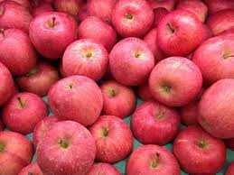 Apple pink lady premium small