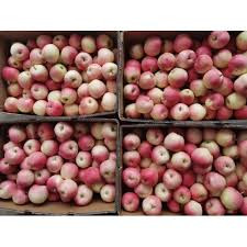 Royal gala apples small 18 box