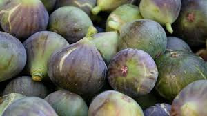 Figs