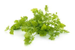 Fresh Chervil Punnet